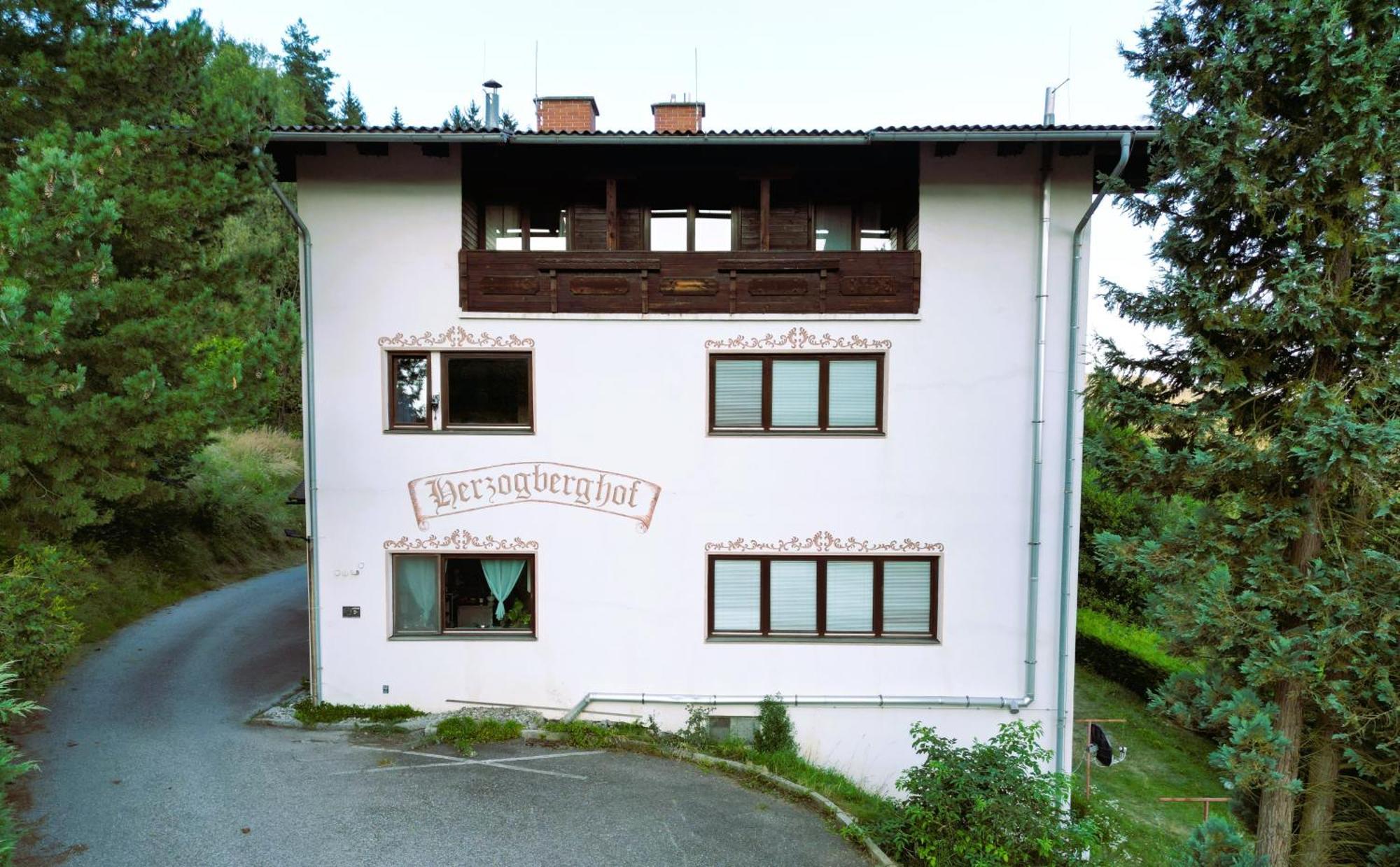 Herzogberghof Kindberg Екстериор снимка